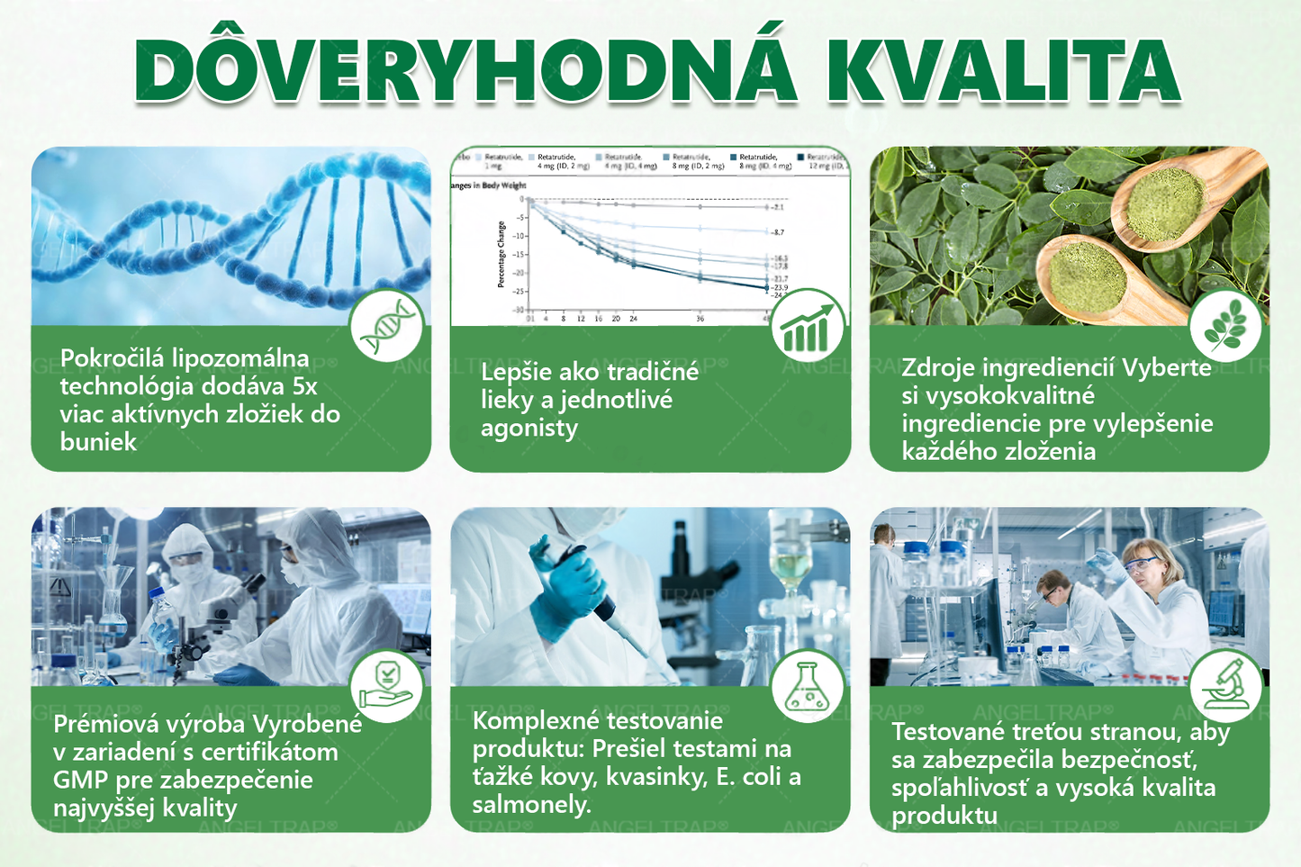 𝐴𝑁𝐺𝐸𝐿𝑇𝑅𝐴𝑃® Moringa × Berberine × AMPK 10-in-1 Metabolic Support Nano Microneedle Patch 🇸🇰 (Na použitie iba raz denne, viditeľné zmeny už po 7 dňoch) ✅ Podporuje chudnutie, metabolické zdravie, spánkovú apnoe, problémy s kĺbmi a mnoho ďalších výhod🔥⏰