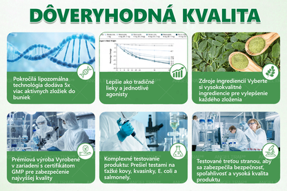 𝐴𝑁𝐺𝐸𝐿𝑇𝑅𝐴𝑃® Moringa × Berberine × AMPK 10-in-1 Metabolic Support Nano Microneedle Patch 🇸🇰 (Na použitie iba raz denne, viditeľné zmeny už po 7 dňoch) ✅ Podporuje chudnutie, metabolické zdravie, spánkovú apnoe, problémy s kĺbmi a mnoho ďalších výhod🔥⏰