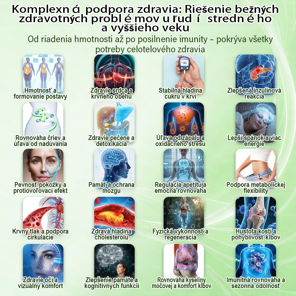 𝐴𝑁𝐺𝐸𝐿𝑇𝑅𝐴𝑃® Moringa × Berberine × AMPK 10-in-1 Metabolic Support Nano Microneedle Patch 🇸🇰 (Na použitie iba raz denne, viditeľné zmeny už po 7 dňoch) ✅ Podporuje chudnutie, metabolické zdravie, spánkovú apnoe, problémy s kĺbmi a mnoho ďalších výhod🔥⏰